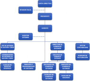 organigrama – Agencia de Aduanas . Imporexport Asesores . Nivel 1